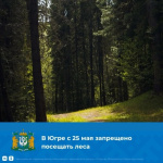 С 25 мая в Югре запрещено посещать леса! За нарушение противопожарного режима грозит штраф! 